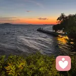 阿蔡·贝勒的头像