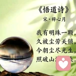 薄荷糖的疗愈花园的头像
