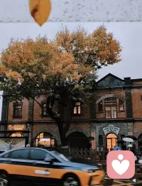 痛苦的根源是：
我想放弃，又不舍得放弃。
人在犹豫、来回拉扯的时候，意志就溃散了，不坚定之后所有的苦都被放大一百倍。