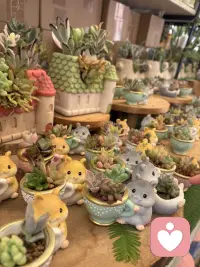 生活中经常遇到各种各样的困难与烦恼，但我们要自己加点甜有动力继续加油
