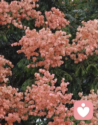 我想来挣钱小钱的  还以为来听就可以了v没想到还挺麻烦的💔