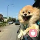 元气少女八嘎酱的头像