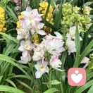 悦宁陪伴的头像