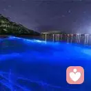憶文的頭像