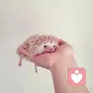 妳、大颖姐	℡的头像