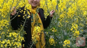 罗桂香心理专家,罗桂香心理咨询费用,罗桂香心理咨询效果怎么样