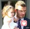 David Beckham的头像