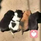 十八禁（捂脸）的头像