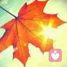 ༺一场人生一场梦༻的头像