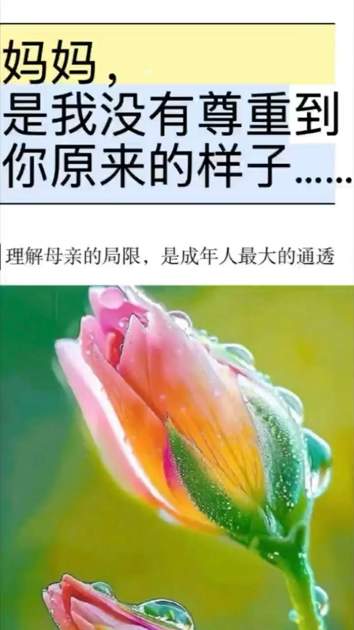 原生家庭之母女矛盾