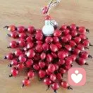 倚海慕霞的头像