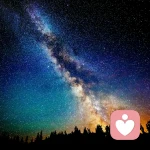 一生浮华	乱谁浮生的头像