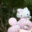 陪伴成長