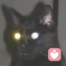 перестаюдышать的头像