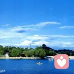 有容乃大的头像