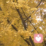 遇见自己的头像