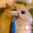 ξ.疯酒~525的头像