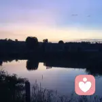 随心所致的头像