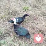 花开花落的头像