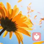 闹够了没有的头像