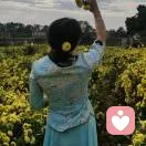 君君情感倾听师的头像