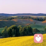 郭素淑咨询师的头像