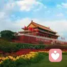 雨曦(joyce)的头像