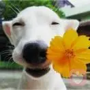 學(xué)習(xí)雷鋒好榜樣