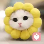 从零开始的头像