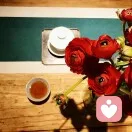 晚风听语的头像