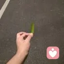 旺中旺的头像