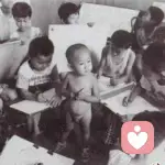 理想的屋頂的頭像