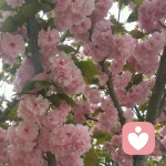 海纳百川的头像