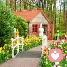 小桥流水的头像