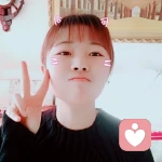 八月折耳猫的头像