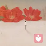 w.		春光明媚里的	小埋怨的头像