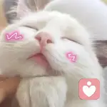 来日可期。的头像