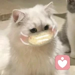 Dépression.的头像