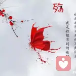 你的头像