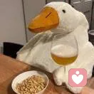 梨没好果汁吃的头像