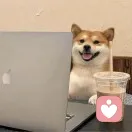 简单点的头像