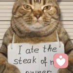 ネф̶	イω的头像