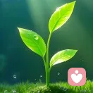 沐沐的头像