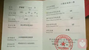 国家二级心理咨询师证