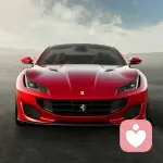 云淡风轻的头像