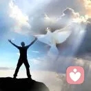 一如既往的骄傲的头像