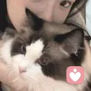 沫moxin的头像