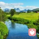 聽 語 者的头像