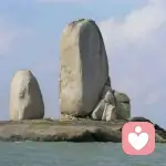 顺其自然的头像