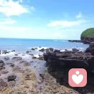 懂你的头像